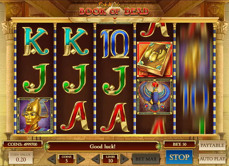 book of dead free spins