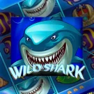 Wild Shark Slot