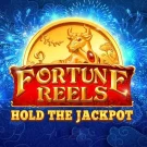 Fortune Reels Slot