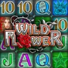 Wild Flower Slot