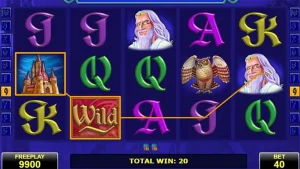 Book of Fortune Slot demo