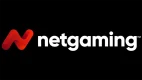 Netgaming logo