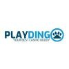 Playdingo