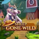 Sheep Gone Wild