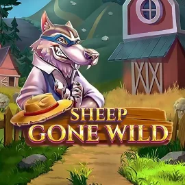 Sheep Gone Wild