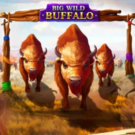 Big Wild Buffalo