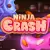 Ninja Crash