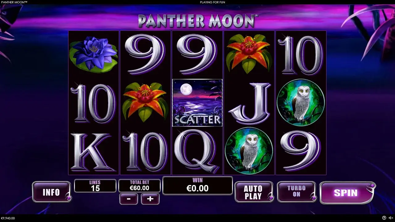 Panther Moon